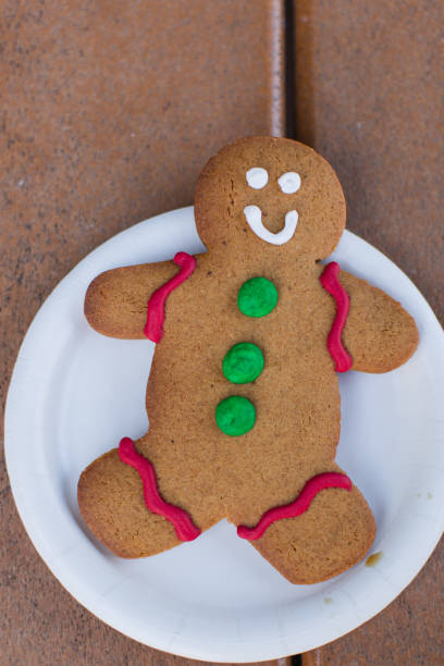 Festive Classic Gingerbread Cookie for a Merry & Bright American Christmas in Central Florida in December 2023