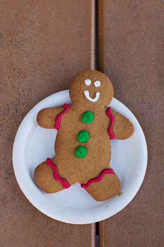 Festive Classic Gingerbread Cookie for a Merry & Bright American Christmas in Central Florida in December 2023