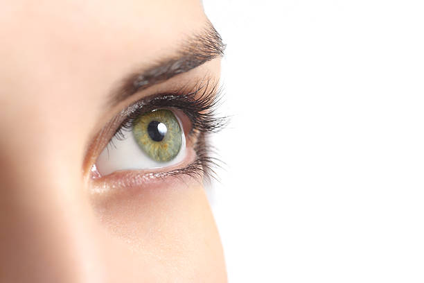 close-up de uma mulher de olhos verde - human eye eyebrow eyelash beauty - fotografias e filmes do acervo