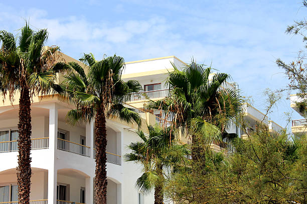 istock Spanish homes and palm trees 185845922
