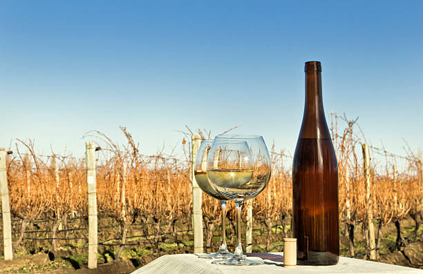istock Glasses and bottle of white wine 185846067