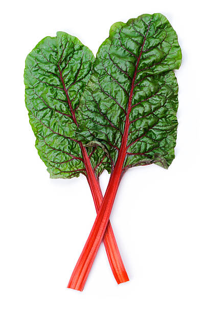 Swiss chard stock photo