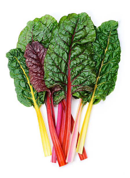 Swiss chard Rainbow stock photo