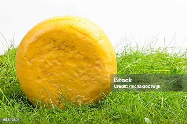 Cipolla Turno Di Formaggio Isolato In Erba Verde - Fotografie stock e altre immagini di Ambientazione esterna - Ambientazione esterna, Cerchio, Cibo