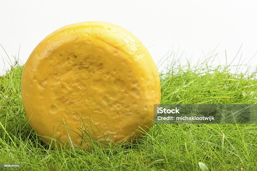 원형 양파형 치즈 격리됨에 녹색 잔디 - 로열티 프리 0명 스톡 사진