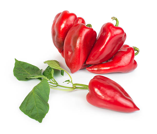 istock Red peppers and leaves 185849808
