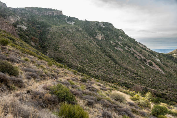 istock HIker Makes The Long Steep Climb Up Blue Creek Trail In Big Bend 1858505625