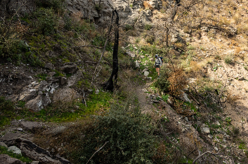 Woman Treks Down Juniper Canyon Trail in Big Bend