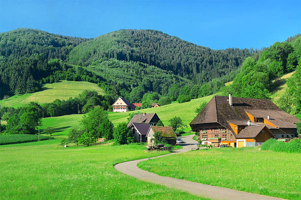 House in the mountains House in the mountains black forest photos stock pictures, royalty-free photos & images