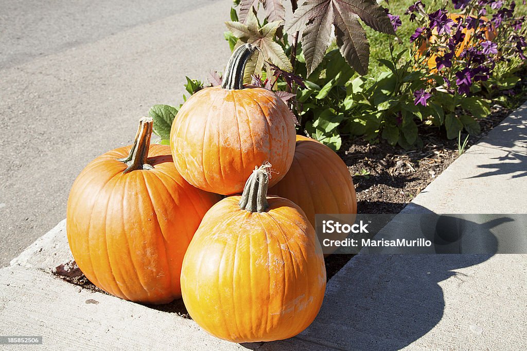 Pumpkins Pumpkins decorating streets in Halloween. Colors Stock Photo