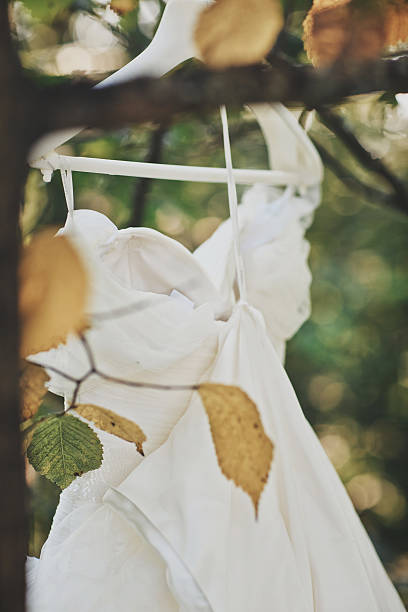 istock White wedding dress hanging on forest tree 185853151
