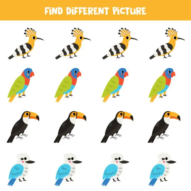 Vector illustration of Find different bird in each row. Logical game for preschool kids.