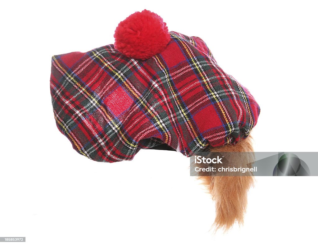 Cappello con motivo tartan scozzese - Foto stock royalty-free di Cappello