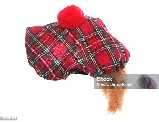 Cappello Con Motivo Tartan Scozzese - Fotografie stock e altre immagini di Cappello - Cappello, Cultura scozzese, Tartan