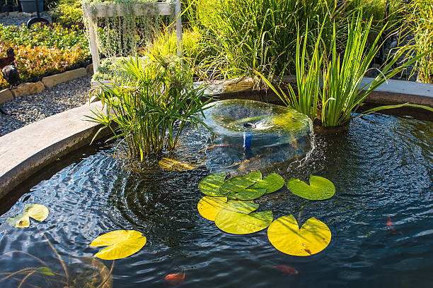 fountain - lillypad lily water lily water stock-fotos und bilder