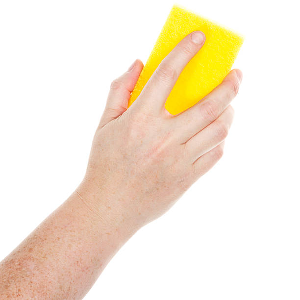 istock Female hand holding a cleaning sponge 185855013