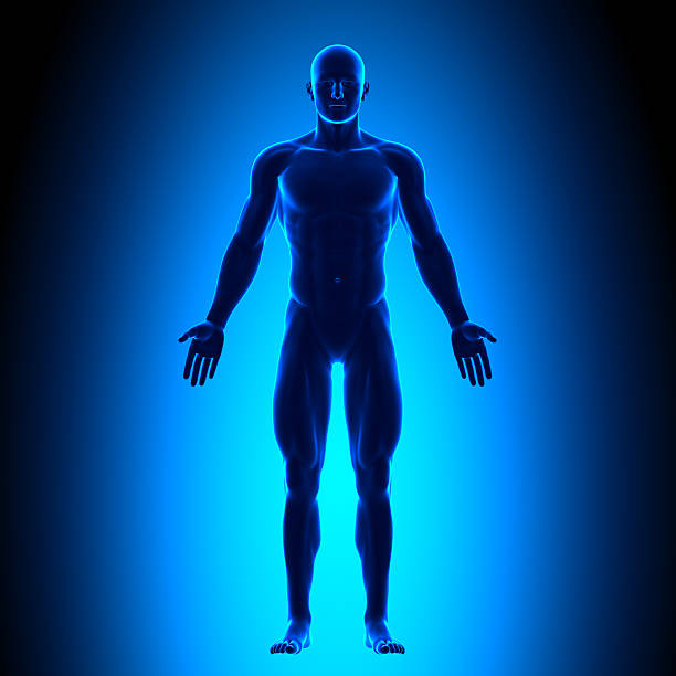 Full Body - Front View Blue concept