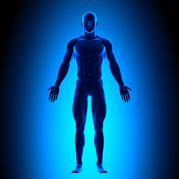 The front view of a man's full body in blue Full Body - Front View Blue concept decade stock pictures, royalty-free photos & images