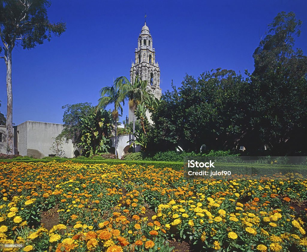 California Tower California Tower in Balboa Park, San Diego Balboa Park Stock Photo