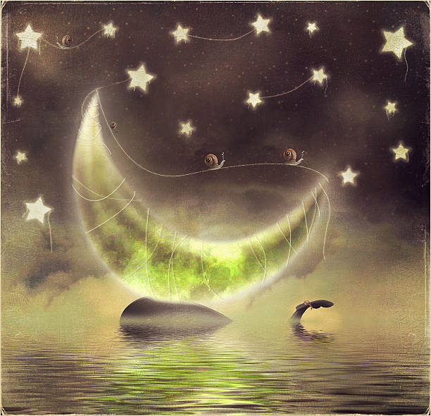 ilustraciones, imágenes clip art, dibujos animados e iconos de stock de ilustración de orca en una noche estrellada fondo con forma de luna - cleaning fish animal snail