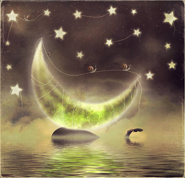 illustrazioni stock, clip art, cartoni animati e icone di tendenza di illustrazione di orca su uno sfondo stellato di notte con luna - meal whale mammal animal