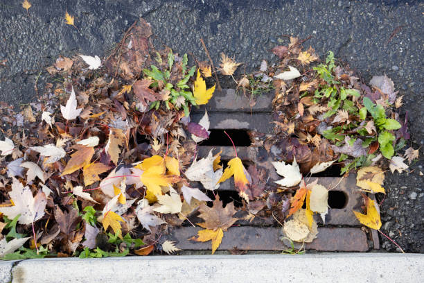 istock Autumn leaves blocking storm drain on roadway corner 1858560227