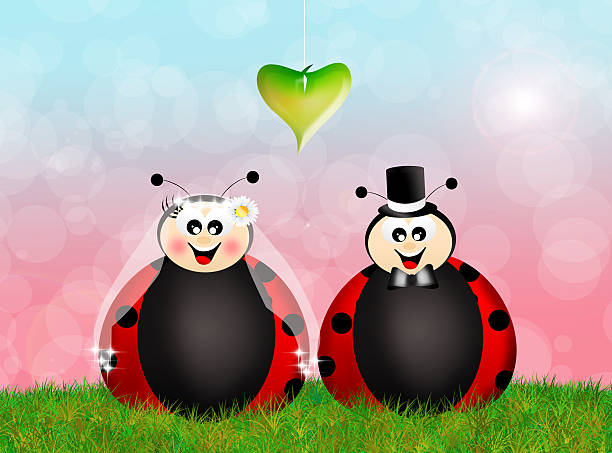 love.bugページ♡ᵕ̈ Reel by 𝑳𝒐𝒗𝒆 𝒃𝒖𝒈 🐞 (@___.love.bug.___) · November 12, 2024