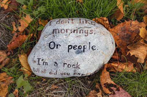 I don't like mornings or people I'm a rock