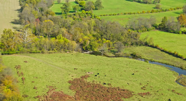 Aerial Shot of Farmland near Georgetown, Scott County, Kentucky