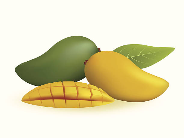 Raw Mango Graphics 2,700+ Raw Mango Stock Illustrations, Royalty-Free Vector Graphics ...
