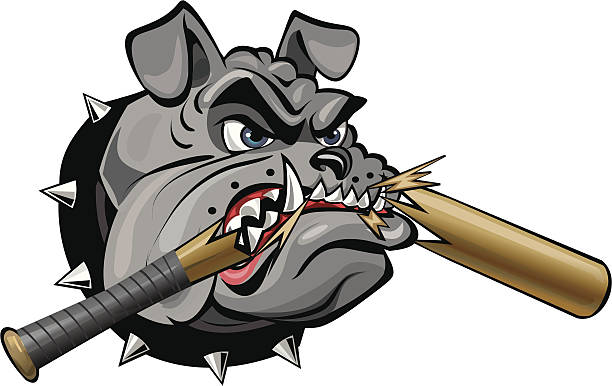 Grey Bulldog and Bat Angry Bulldog Crash Baseball Bat angry dog barking cartoon stock illustrations