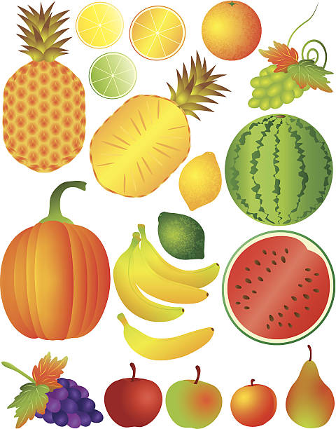 illustrazioni stock, clip art, cartoni animati e icone di tendenza di set di illustrazione vettoriale di frutta - peach fruit portion orange