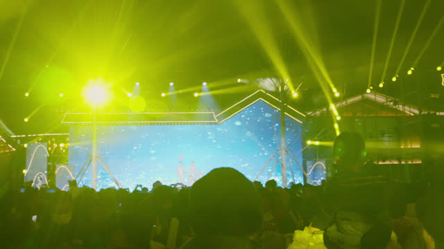 The crowd and atmosphere at the concert