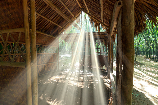 Sun rays penetrate inside a temporary bamboo house in the tropical forest.