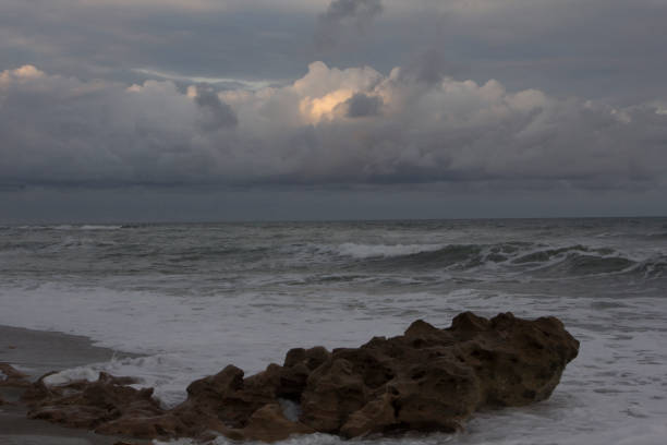 istock Coral Cove Park, Tequesta, Florida 1858640611