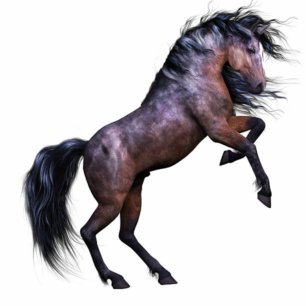 istock Horse Rearing on White Background 185867266