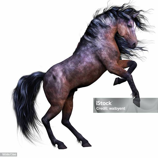 Criação De Cavalo Em Fundo Branco - Fotografias de stock e mais imagens de Cavalo - Família do Cavalo - Cavalo - Família do Cavalo, Figura para recortar, Fundo Branco