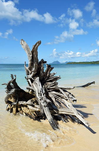 Beautiful view of empty tropical beach with old branch and long tail boat and white sand. Thailand, Asia. Copy space. Tourism. Travels.