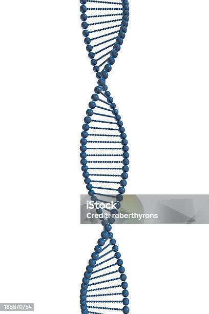 Isolierte Dna Stockfoto und mehr Bilder von DNA - DNA, Helix, Helixmodell