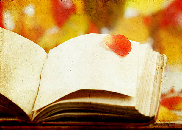 istock Old book and colorful autumn leaf 185872529