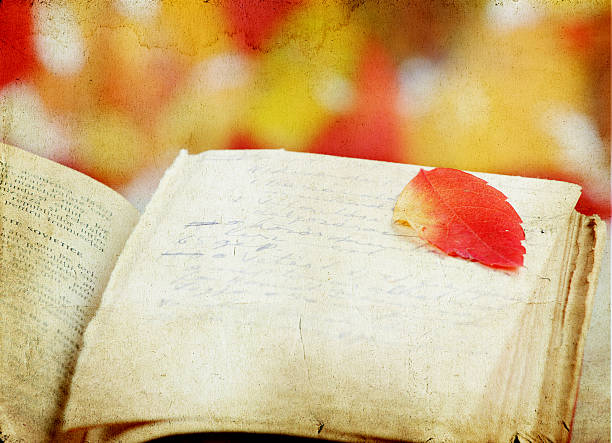 istock Old book and colorful autumn leaf 185873682