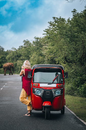 A young woman taking photos from a distance, from a tuk-tuk vehicle, of a wild elephant crossing the road.
Traveling through Sri Lanka with a rented tuktuk.