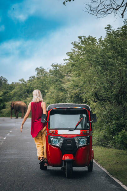 istock Encountering a wild elephant while driving a tuk-tuk in Sri Lanka. 1858815863