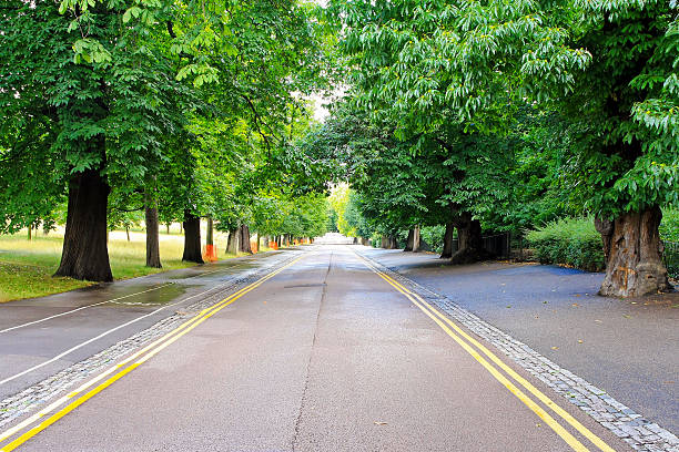 istock Road trough wood 185882186