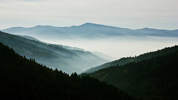 istock Mystic valley covered with fog 185882460