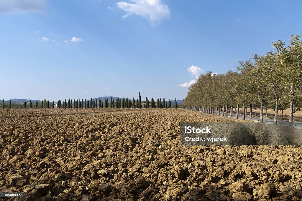 Paisagem da Toscana - Foto de stock de Abadia de San Galgano royalty-free