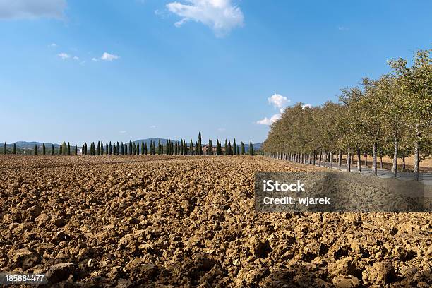 Foto de Paisagem Da Toscana e mais fotos de stock de Abadia de San Galgano - Abadia de San Galgano, Agricultura, Ajardinado