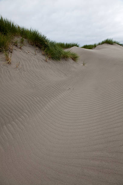 istock Dunes at Chiloe national park. 185885274