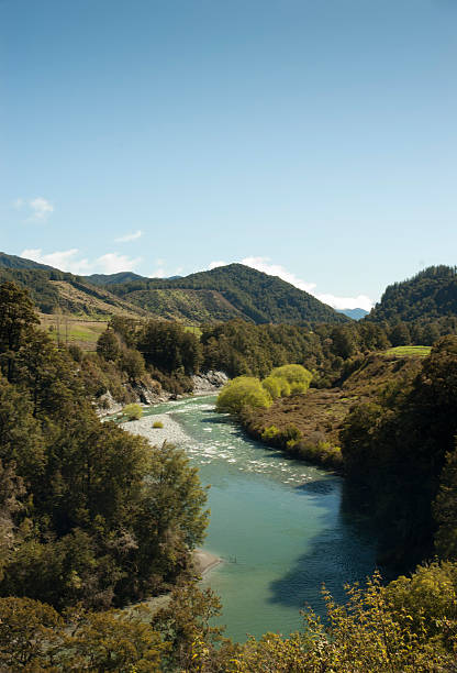 istock Matakitaki Valley, Murchison, New Zealand 185886284