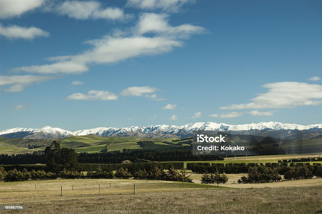 Scène rurale avec montagnes enneigées, Canterbury, Nouvelle-Zélande - Photo de Agriculture libre de droits